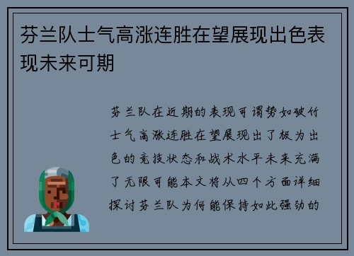 芬兰队士气高涨连胜在望展现出色表现未来可期